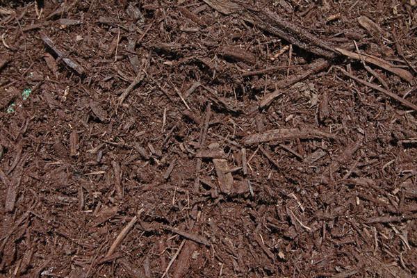 Brown Cedar Mulch - pickup or delivery on cape cod