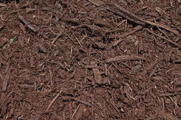 Brown Cedar Mulch - pickup or delivery on cape cod