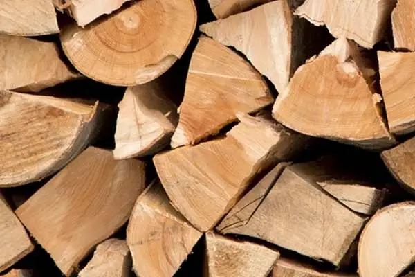 fresh barkless firewood
