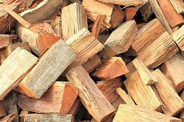 kiln dried firewood