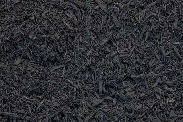 Midnight black mulch