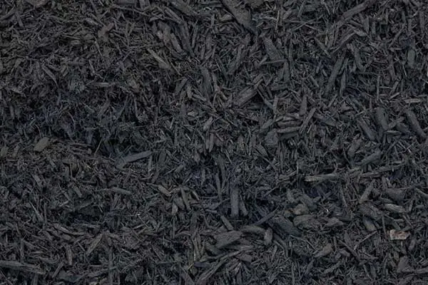 Midnight black mulch