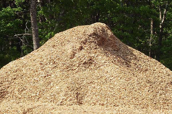 white pine wood chips for pickup and delivery on cape cod