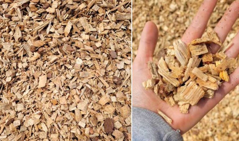 Fir Wood Chips