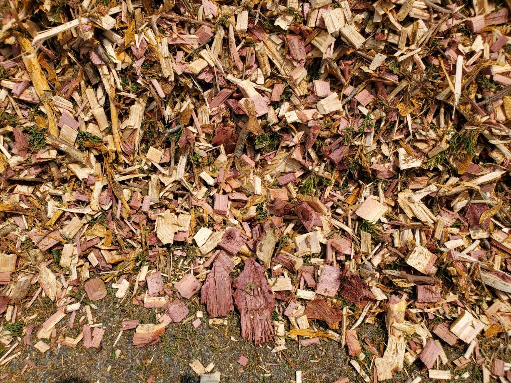 Unprocessed Wood Chips